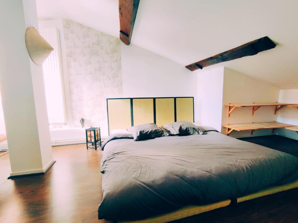 Superbe Appartement Duplex Centre Ville De Mâcon מראה חיצוני תמונה